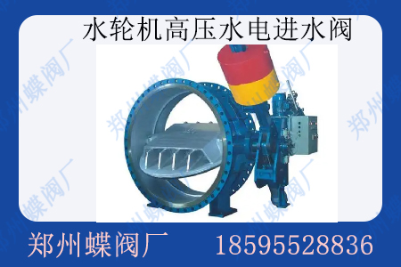 什么是水轮机高压水电进水阀
