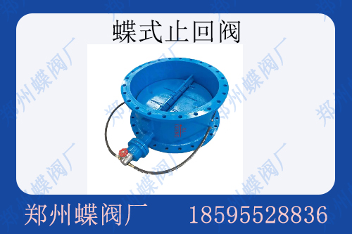 止回阀规格型号含义